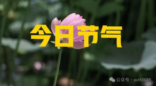 明天九月廿六“凶日”无论多忙牢记：1不动3不做6不吃(图2)