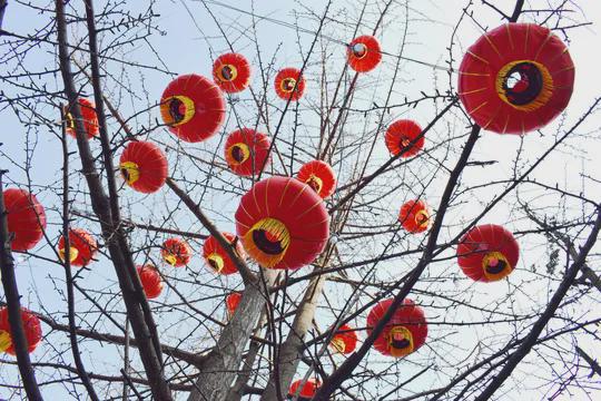 俗语：“进了腊月门五事莫问人”哪5件事不能做？(图4)