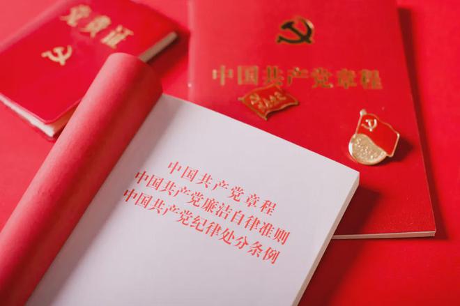 高效搞定2024年度党建考核及述职评议4个技巧助你脱颖而出(图3)