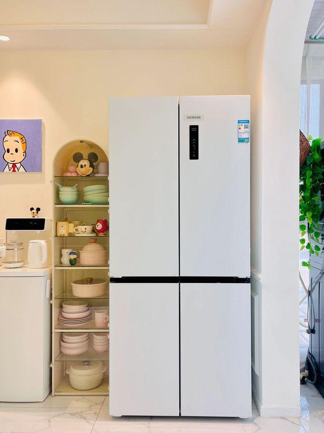 冰箱什么品牌最好？2024冰箱品牌排行榜前十名：这6个口碑公认！(图8)