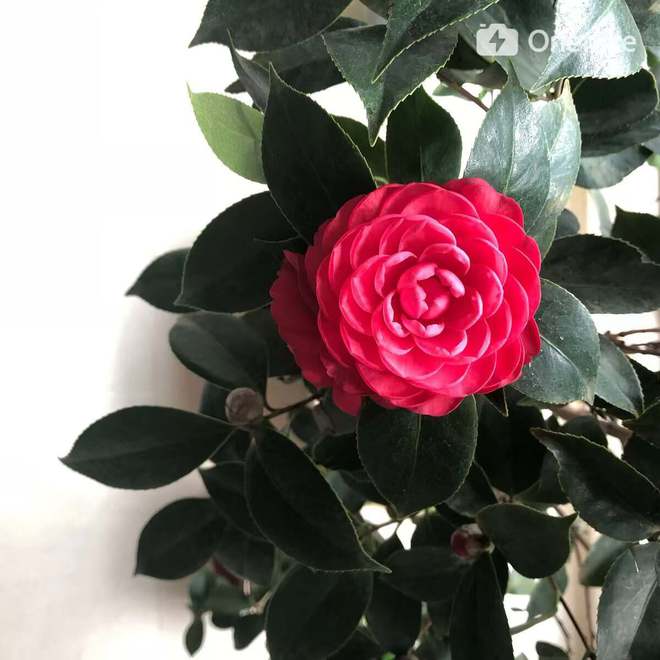 加杠杆买房的北漂：舍掉房子换来自由(图3)