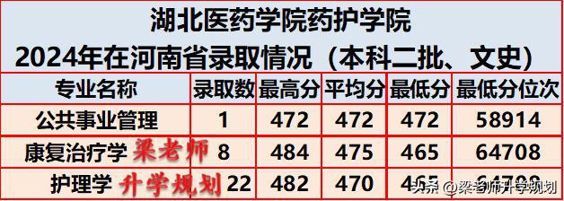 湖北医药学院药护学院2024年在河南省分专业录取分数(图2)