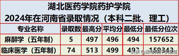 湖北医药学院药护学院2024年在河南省分专业录取分数(图1)