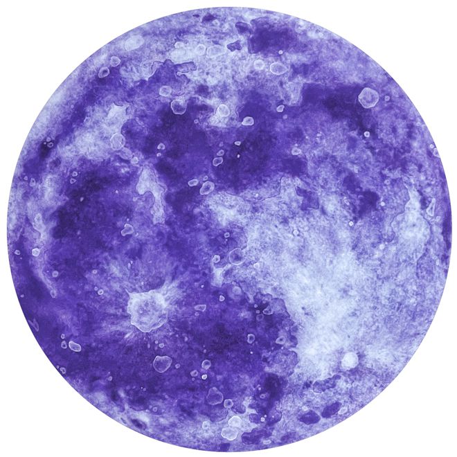 星丛CONSTELLATIONS章幼玄：用本能寻路(图2)