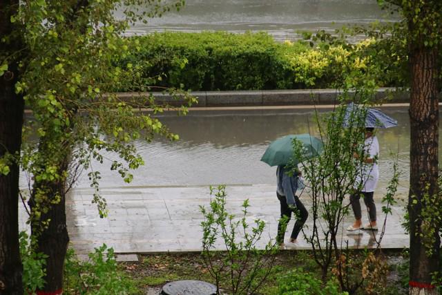 2025年是“七龙治水”预示今年特别干旱？老话：一年旱涝看雨水(图1)