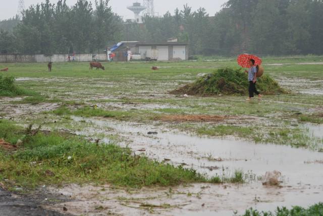 2025年是“七龙治水”预示今年特别干旱？老话：一年旱涝看雨水(图9)