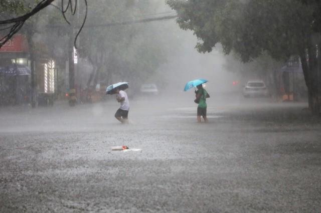2025年是“七龙治水”预示今年特别干旱？老话：一年旱涝看雨水(图6)